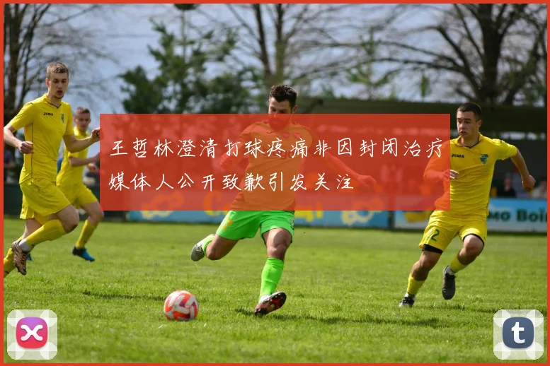 王哲林澄清打球疼痛非因封闭治疗媒体人公开致歉引发关注