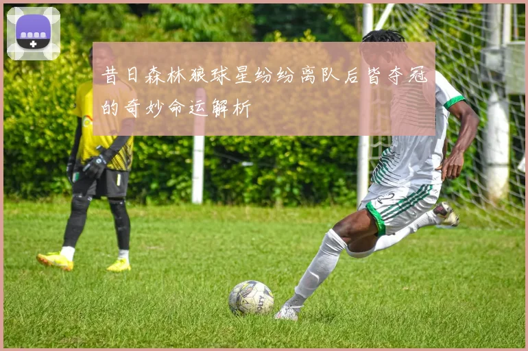 昔日森林狼球星纷纷离队后皆夺冠的奇妙命运解析