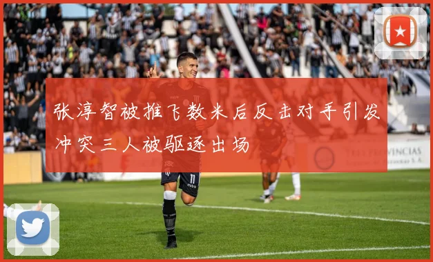 张淳智被推飞数米后反击对手引发冲突三人被驱逐出场